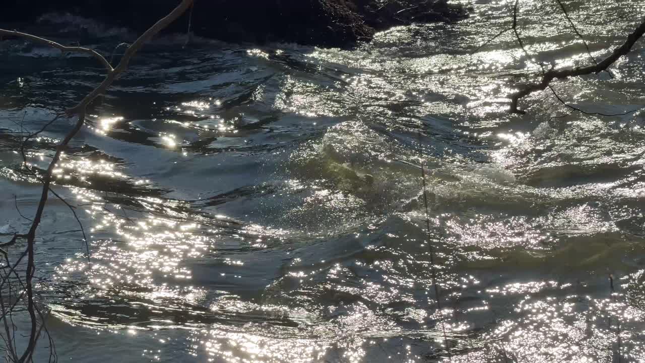 Glitzernde Wasseroberfläche eines Bachs im Sonnenlicht
