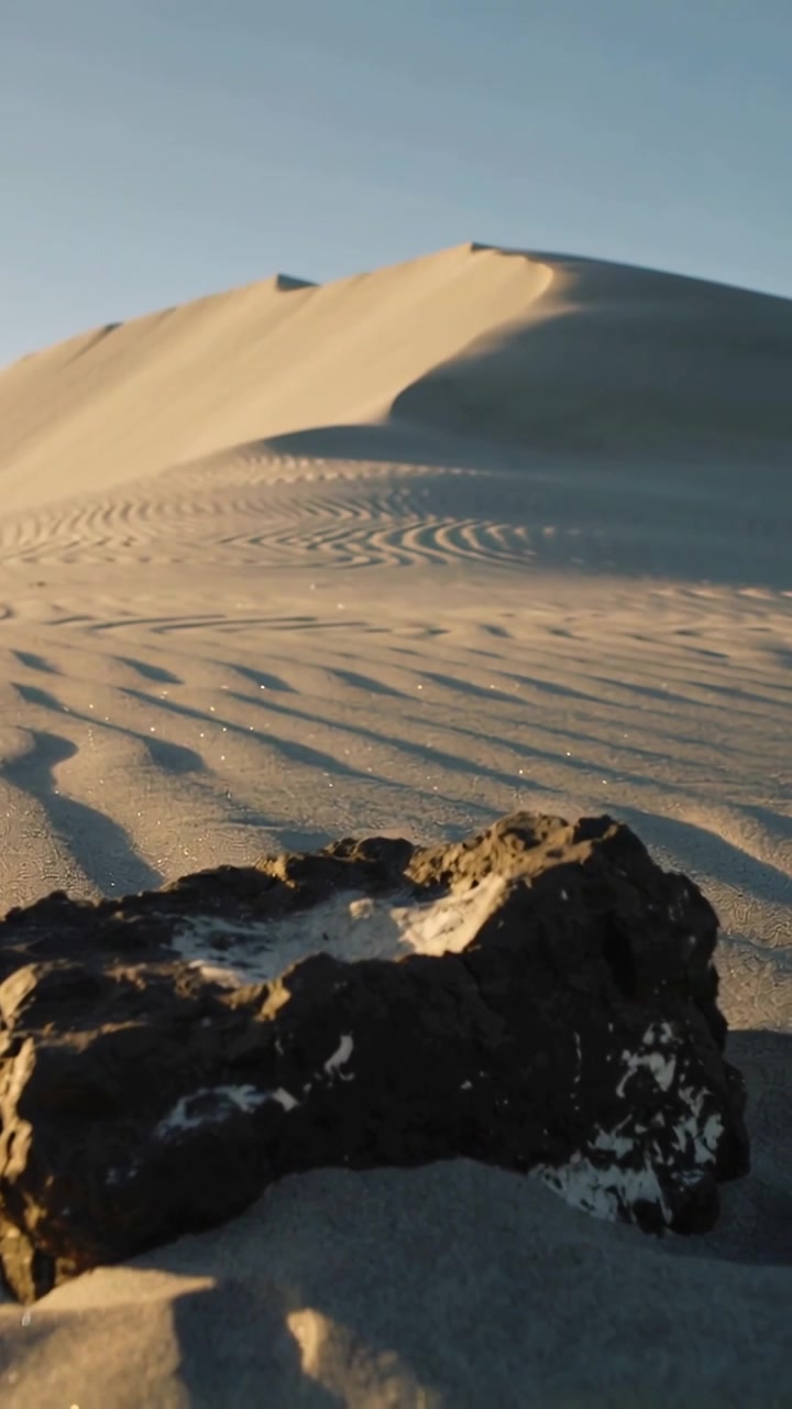 Video verticale: Telecamera che si allontana rivelando roccia scura porosa su sabbia ondulata in una duna, per mostrare la texture.