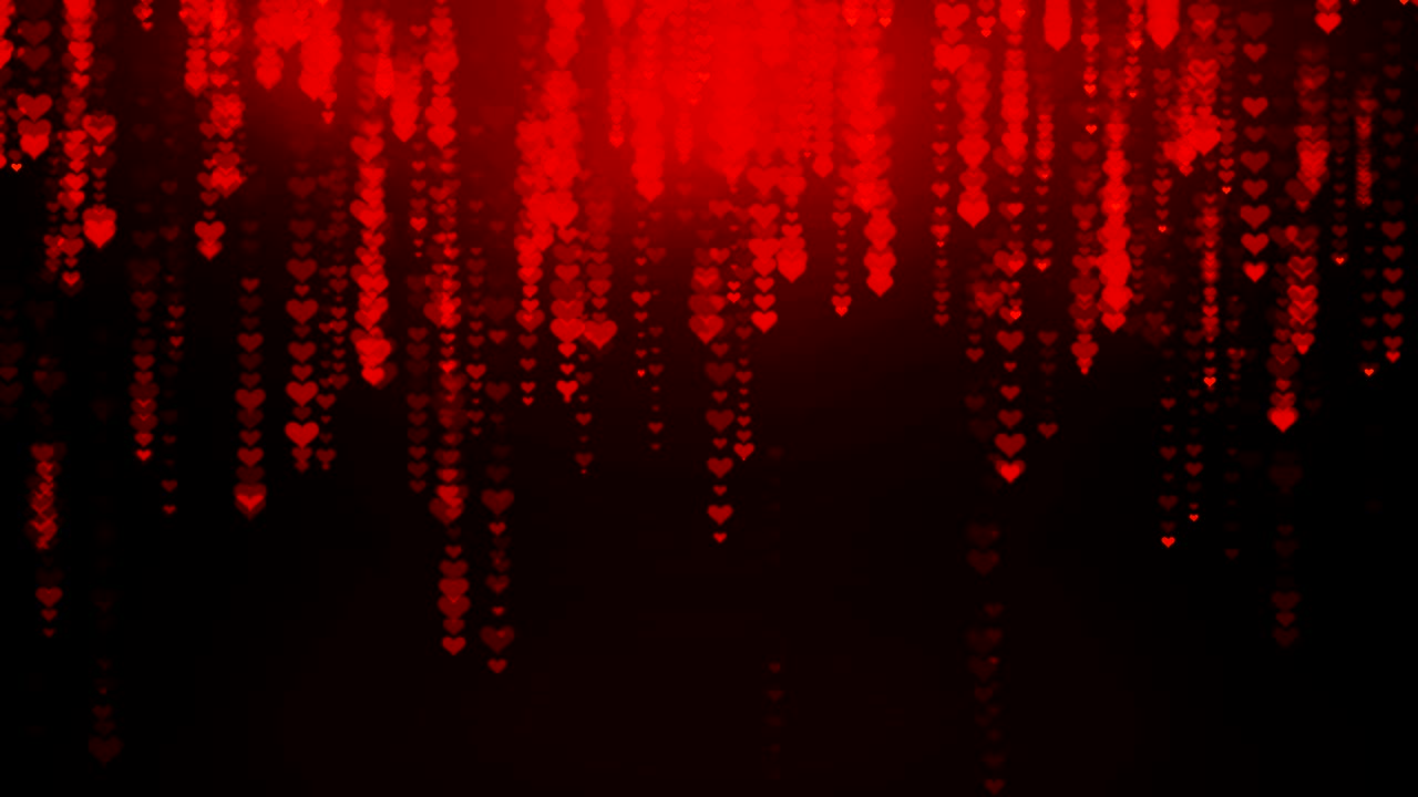 los corazones rojos caen bajo la lluvia