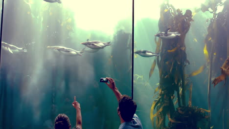 couple watching at penguins in the fish tank