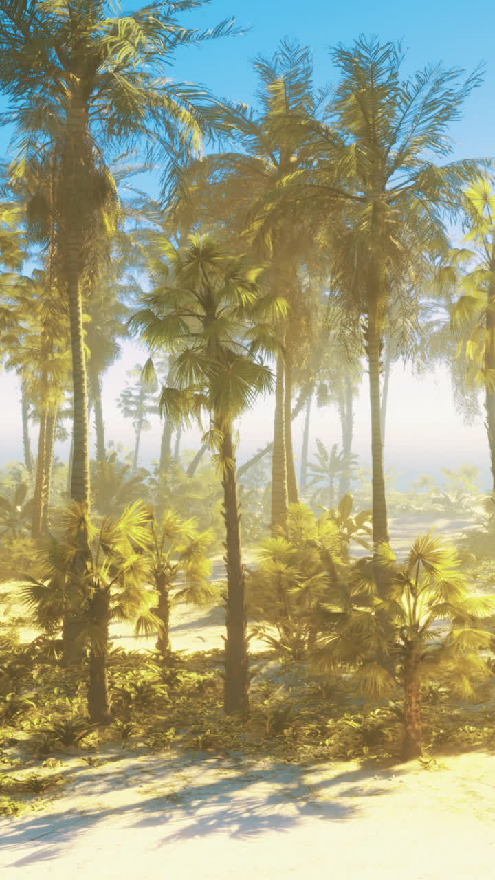 Lush palm trees sway gently in a tropical beach paradise at sunrise