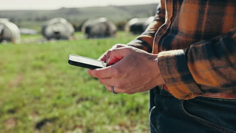Farmer-hands,-person-or-phone-in-agriculture