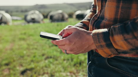 farmer hands, person or phone in agriculture