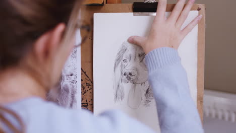 Female-Teenage-Artist-Sitting-At-Easel-Drawing-Picture-Of-Dog-From-Photograph-In-Charcoal