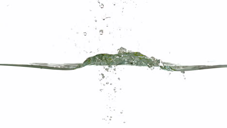 Green-apple-plunging-into-water-on-white-background