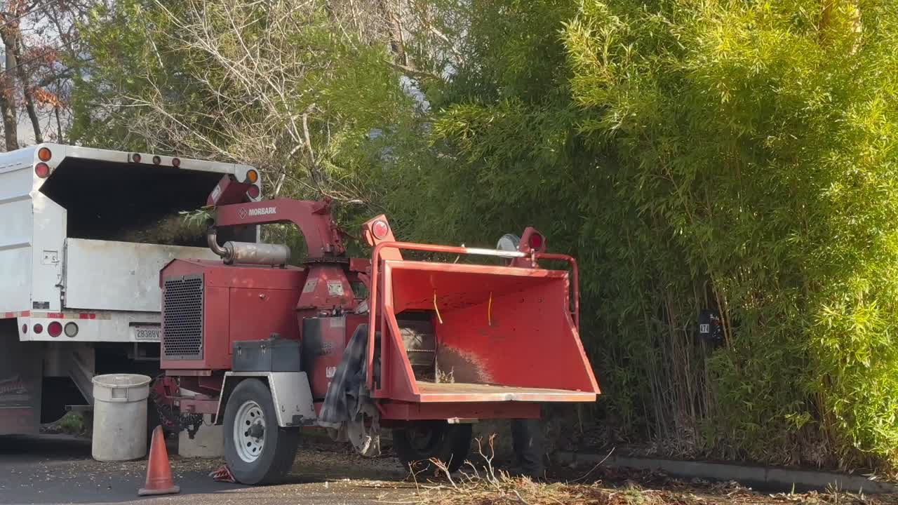 A man feeds a woodchipper while cleaning the street