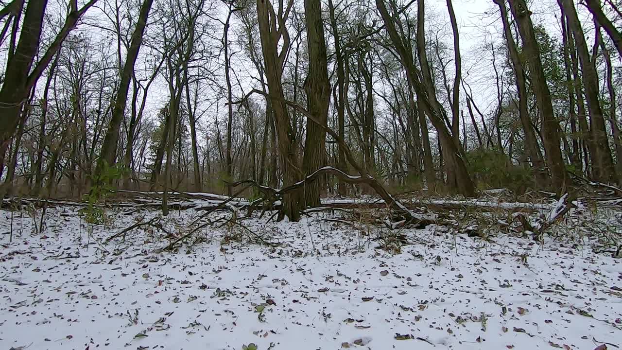 POV dal retro di un veicolo fuoristrada (ATV) mentre si guida su un sentiero innevato attraverso il bosco in un primo pomeriggio invernale; telecamere per la fauna selvatica e appostamenti per la caccia sono visibili; punto di vista