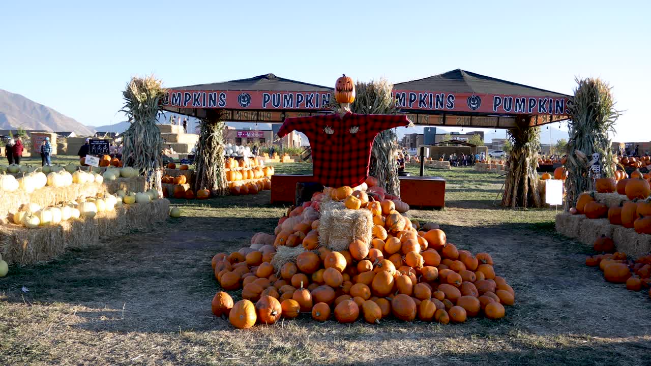 venta de calabazas en el evento al aire libre del festival de octubre al aire libre, estados unidos