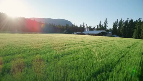 green field at countryside 4k