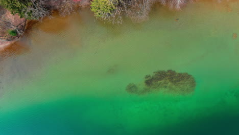 Toma-Aérea-De-Arriba-Hacia-Abajo,-Impresionantes-Aguas-Claras-Del-Tegernsee-Con-Hermosos-Colores-Vistos-Desde-Arriba