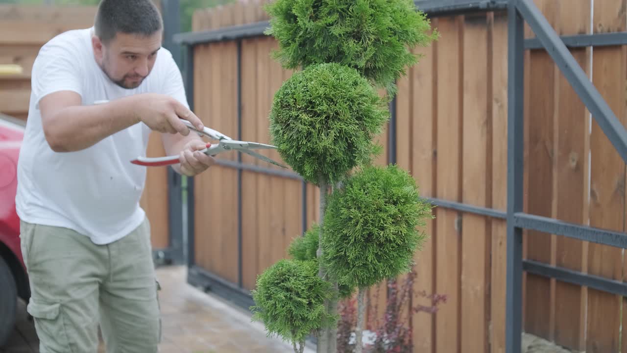 Man Trimming Topiary Tree in Backyard Garden for Landscaping and Maintenance