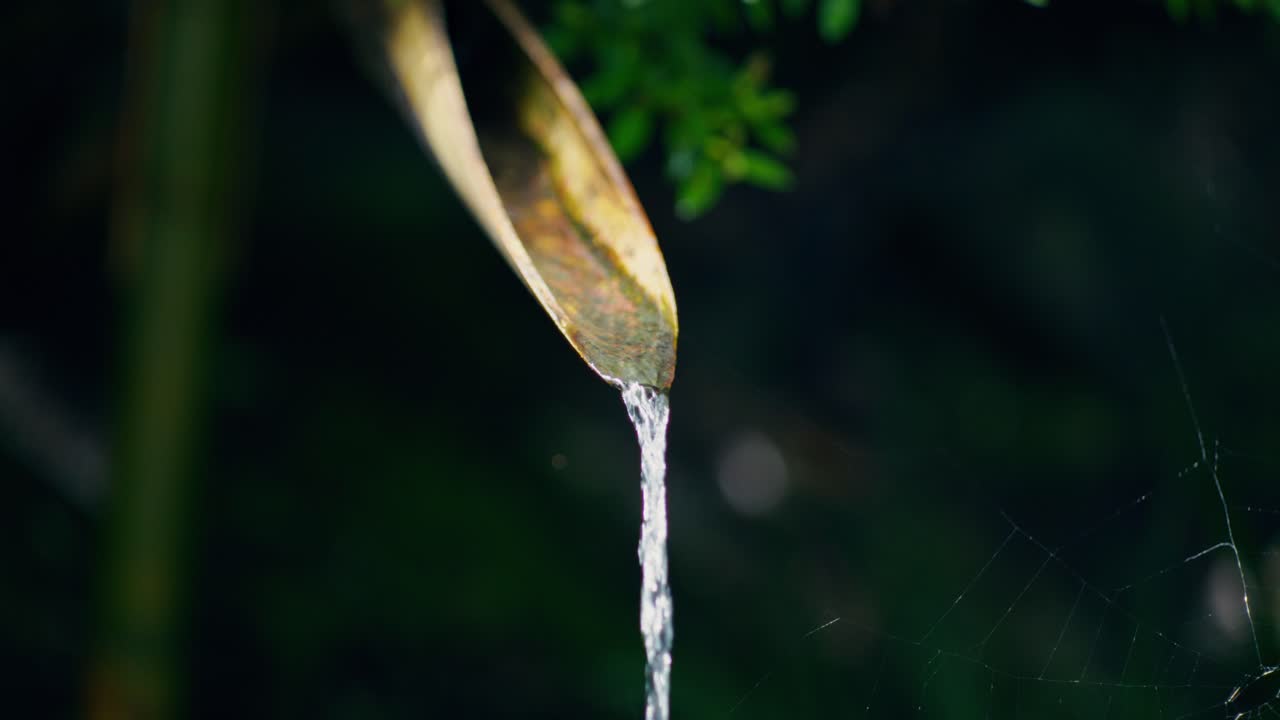 Water Flowing from a Bamboo Pipe