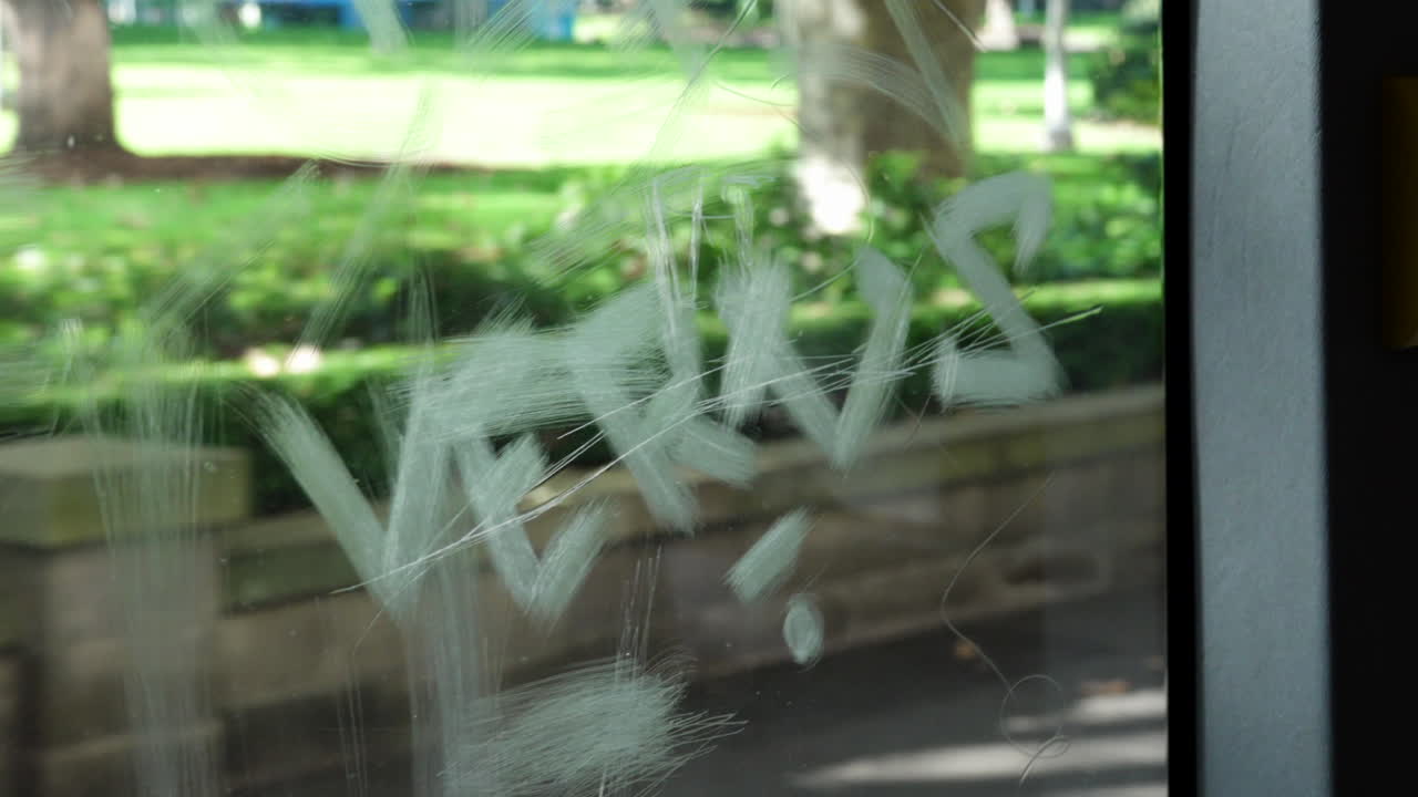 버스 창문 에 그라피티, 공원 근처 에 버스 드라이브로 움직이는 배경