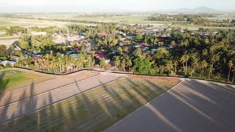 Vista-Aérea-Malasia-Pueblo-Malayo-Cerca-Del-Campo-De-Arroz-Seco.