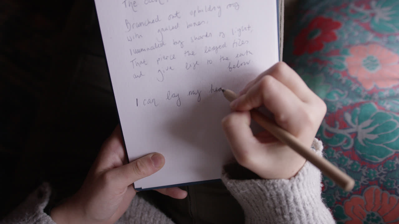 Cosy and stylish interior of treehouse cabin in the woods