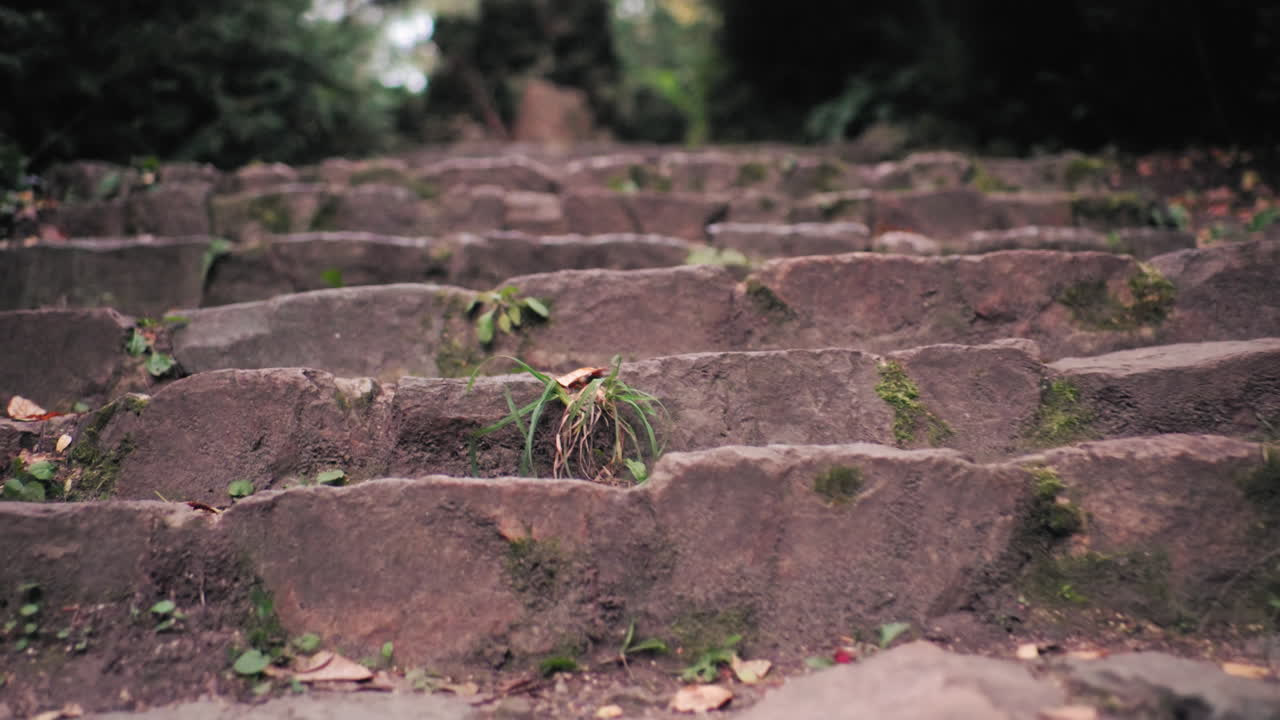 Вид снизу вверх со ступеней на тихий лесной коридор, поросшие мхом ступени, поднимающиеся между деревьями, сухие листья, разбросанные по земле, безмятежная перспектива лесной лестницы осенью