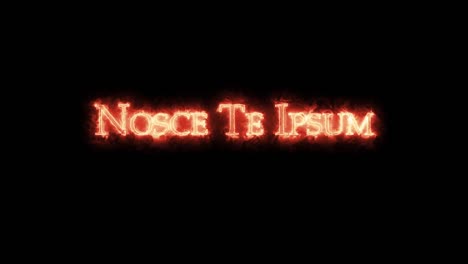 nosce te ipsum written with fire. loop