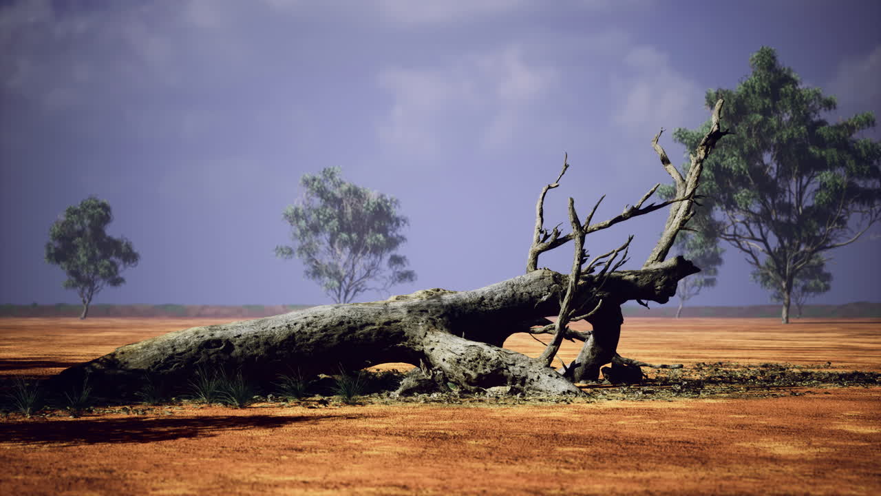 Natures quiet beauty showcases a fallen tree beneath an expansive sky