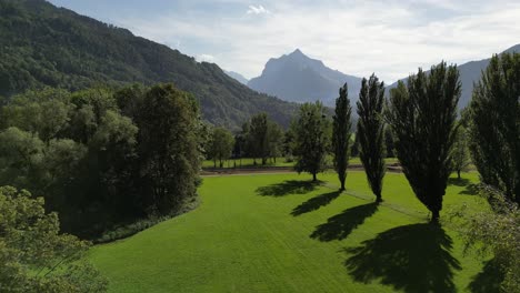 switzerland's blue cloudy mountain landscape sky green field grassland and trees in a row in a sunny day shadow on grazing highland in the pine tree forest in summer morning walensee walenstadt weesen