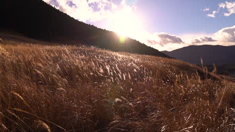 Wide-open-beautiful-Grassland-with-blue-sky-and-silhouette-hills-in