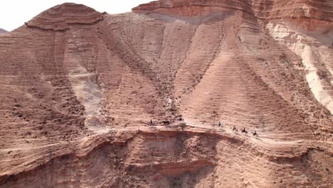 caballos montando al lado de un gran cañón en el desierto 2