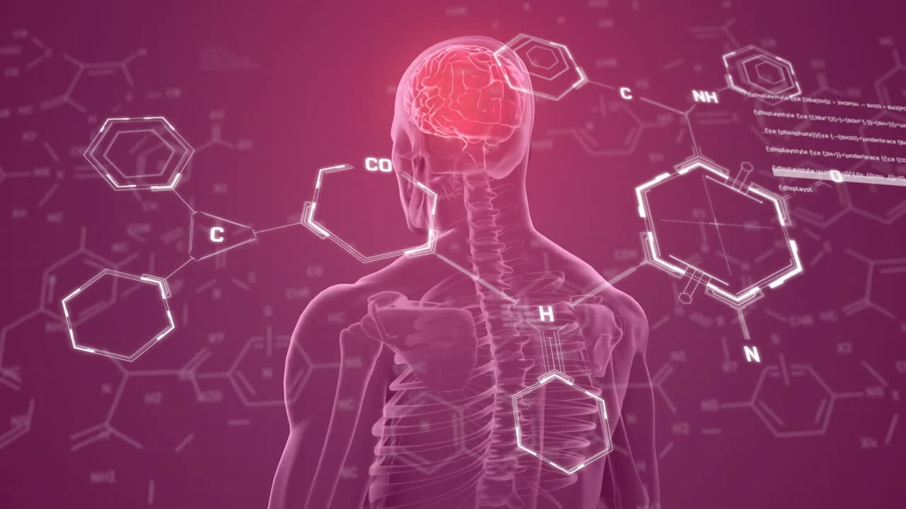 animación de diagramas de elementos sobre escáner de rayos x masculino con cerebro brillante