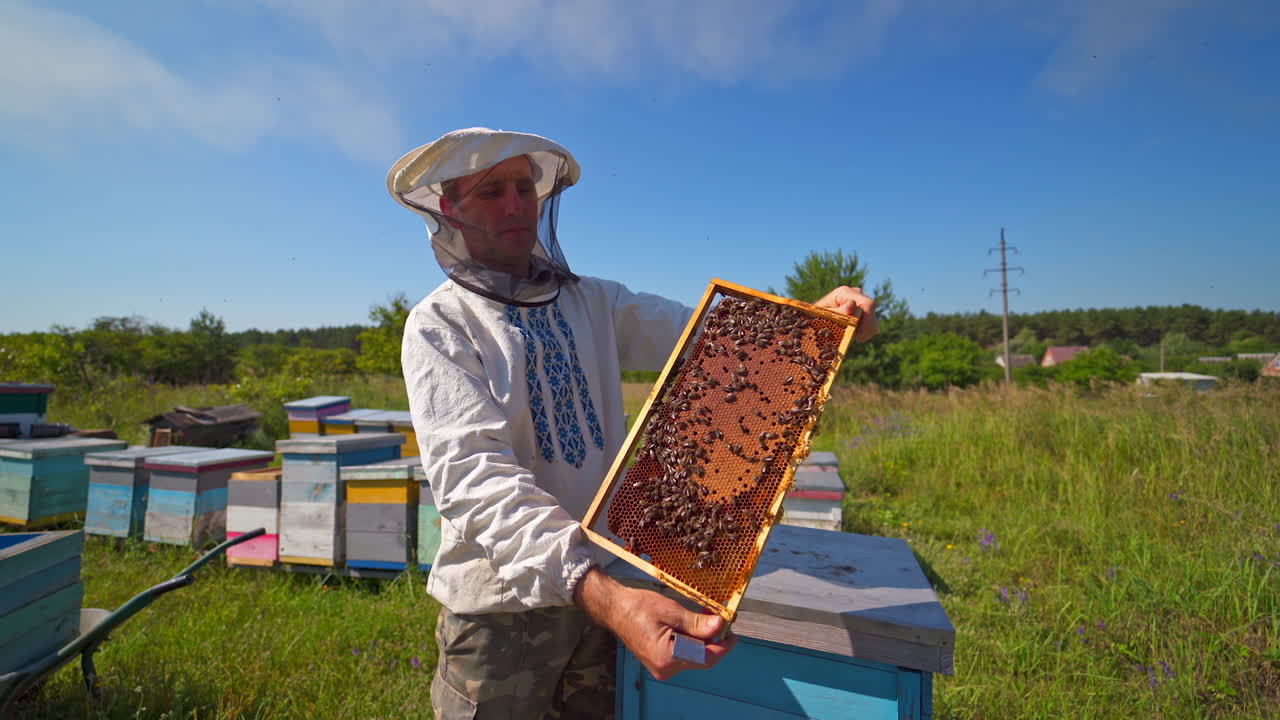 Beekeeper on a farm. Portrait of an apiarist with frame full of bees. Farmer showing frame with honeycomb on the apiary in summer.
