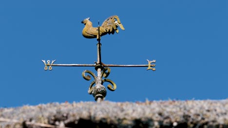 iron rooster weather vane with compass on top of thatched roof-1