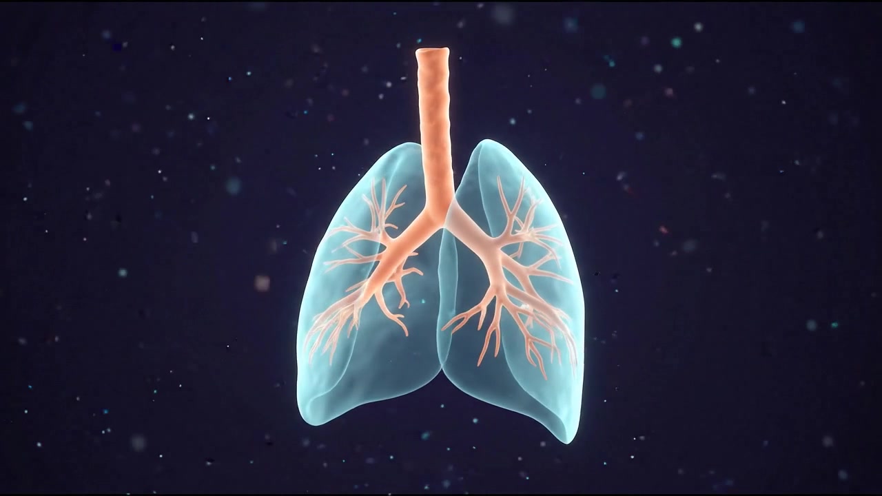 Scansione del sistema respiratorio delle vie aeree: laringe e trachea
