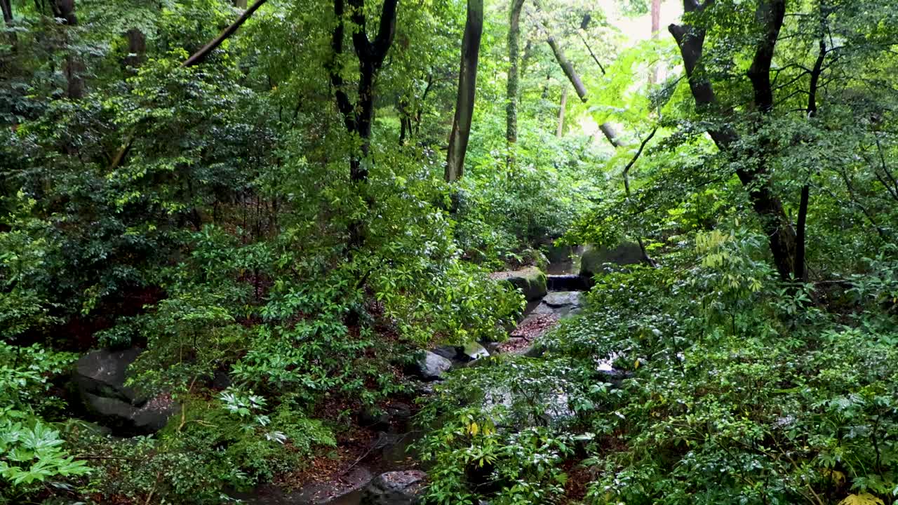 도쿄 최고의 전망