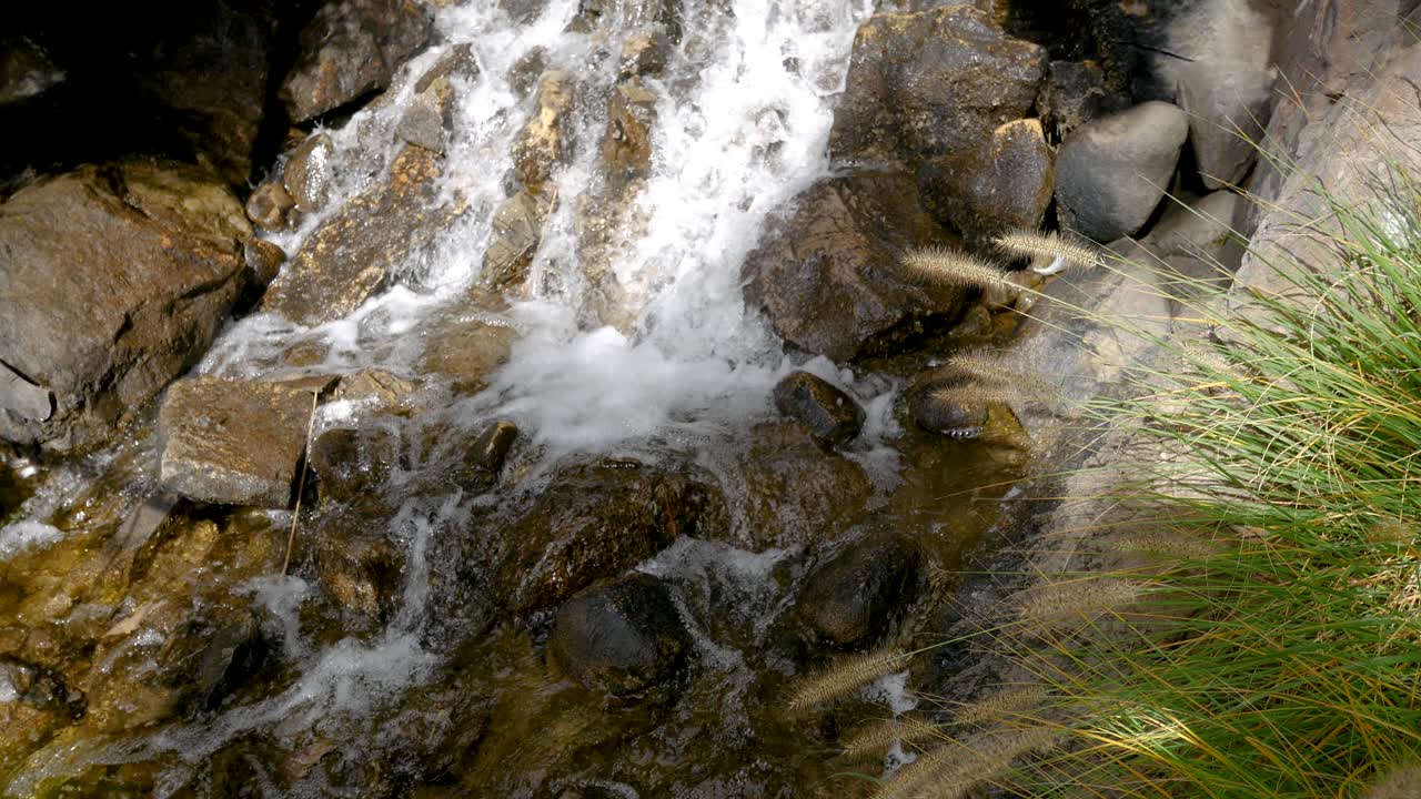 agua cayendo por una cascada gentil en un bosque de montaña