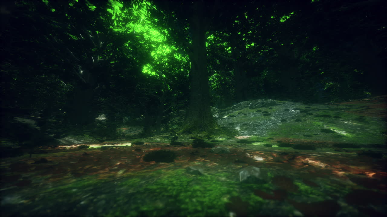 el bosque oscuro y misterioso