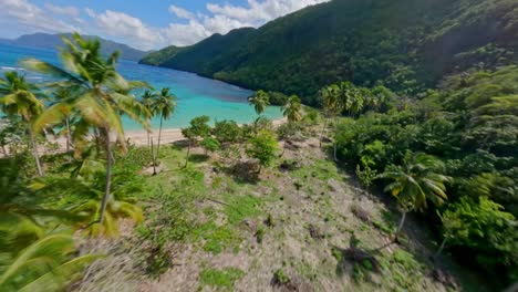 Drone-flight-over-palm-trees-and-sandy-beach-of-Ermitano