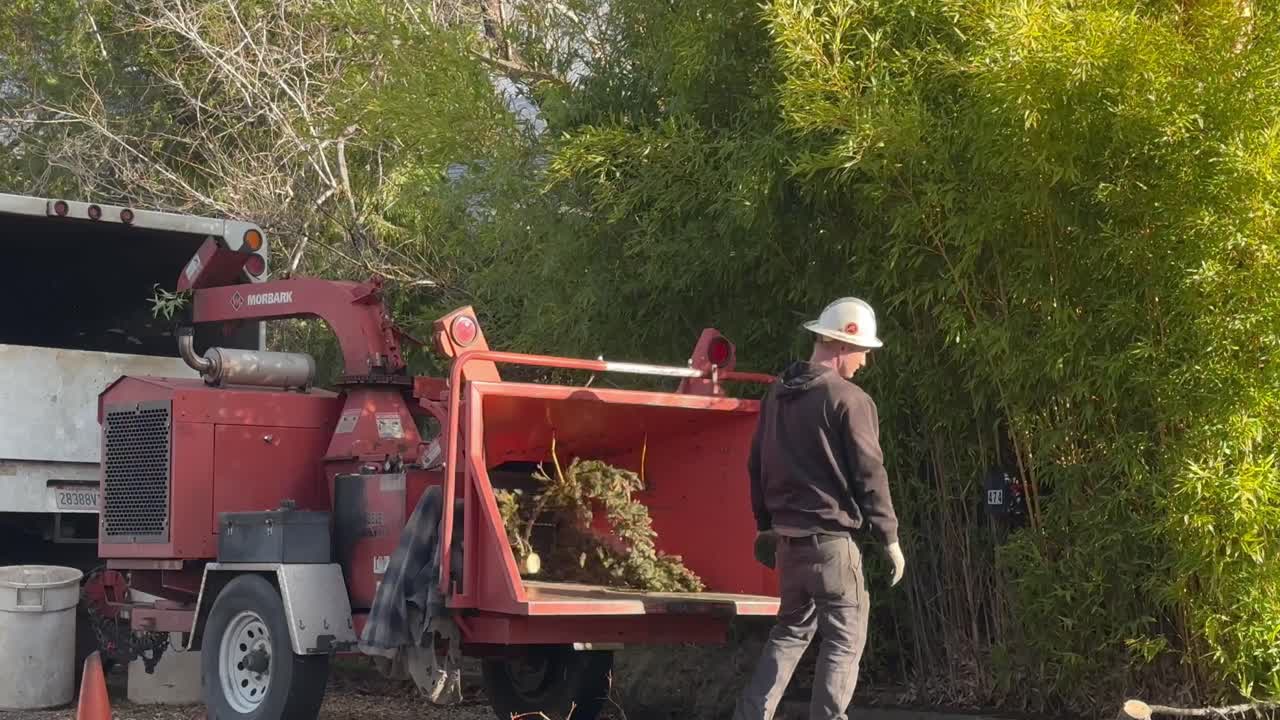 Un uomo getta legna in una cippatrice al lavoro.