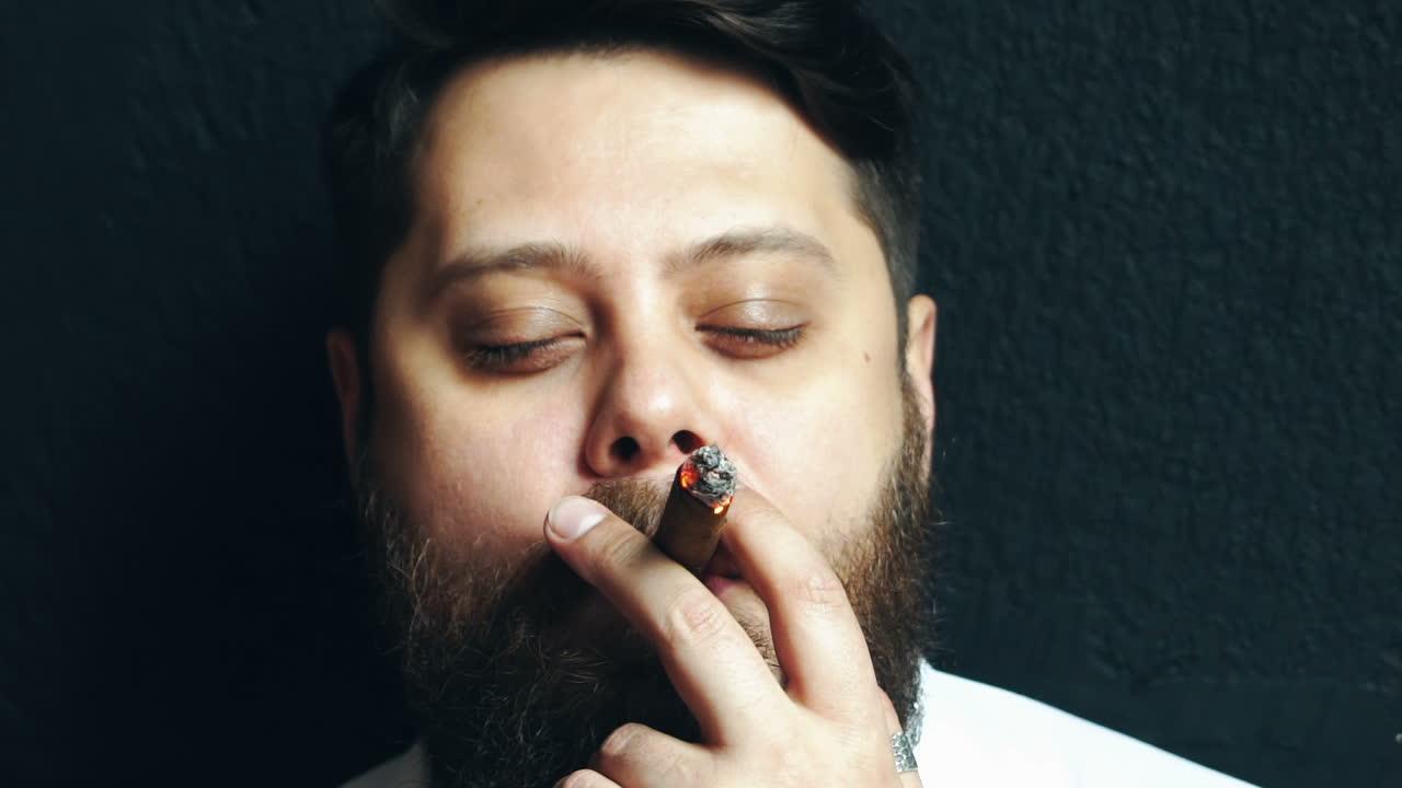 Stylish man with cigar. Studio view of handsome man smoking cuban cigar in studio
