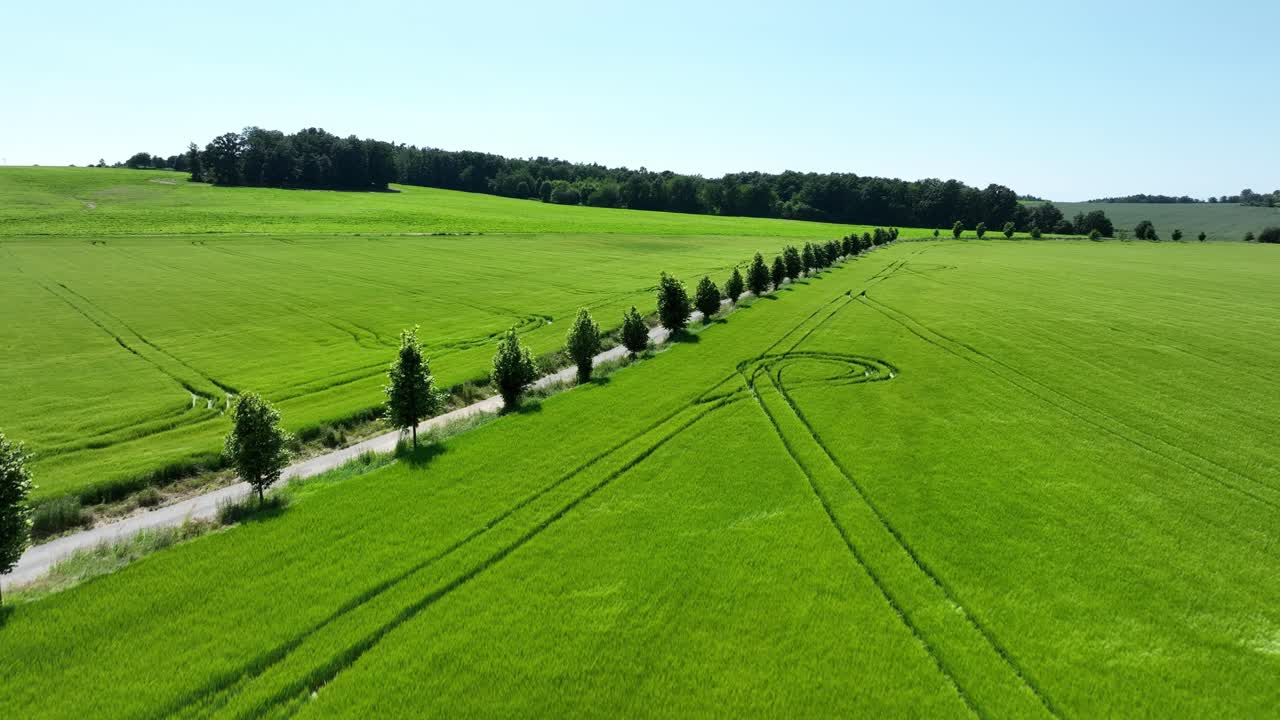 Aerial zoom in over vibrant green farmland with scattered trees and a straight path, clear sky