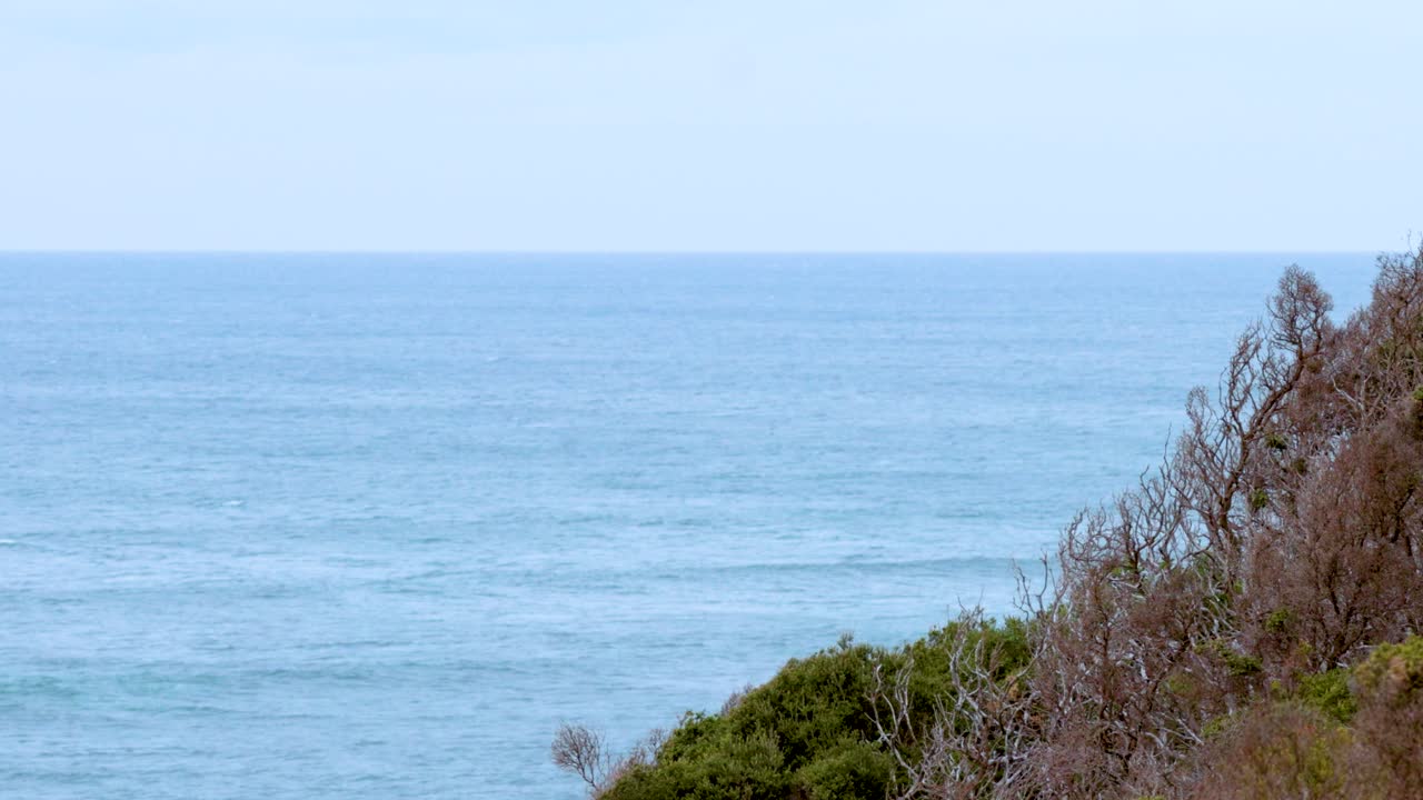 A serene coastal scene featuring ocean waves and lush vegetation under clear skies, captured with steady camera movement