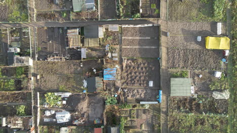 top down aerial of community vegetable garden plots with small sheds