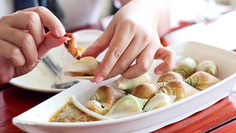 hands savoring conch shells at a table