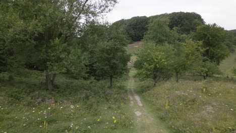 Wanderweg-Auf-Einem-Kleinen-Hügel-Mit-Wald