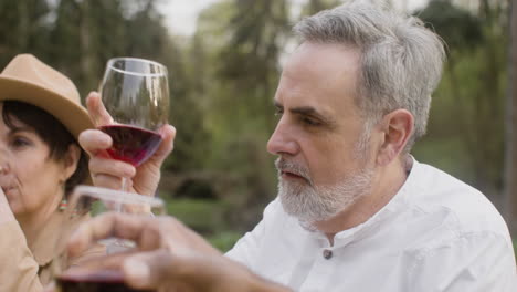 nahaufnahme eines mannes mittleren alters, der rotwein trinkt, während er während einer party im freien im park am tisch sitzt