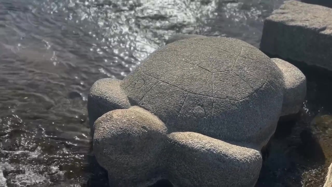 Schildkrötenförmiger Trittstein am Kamo-Fluss in Kyoto, Japan