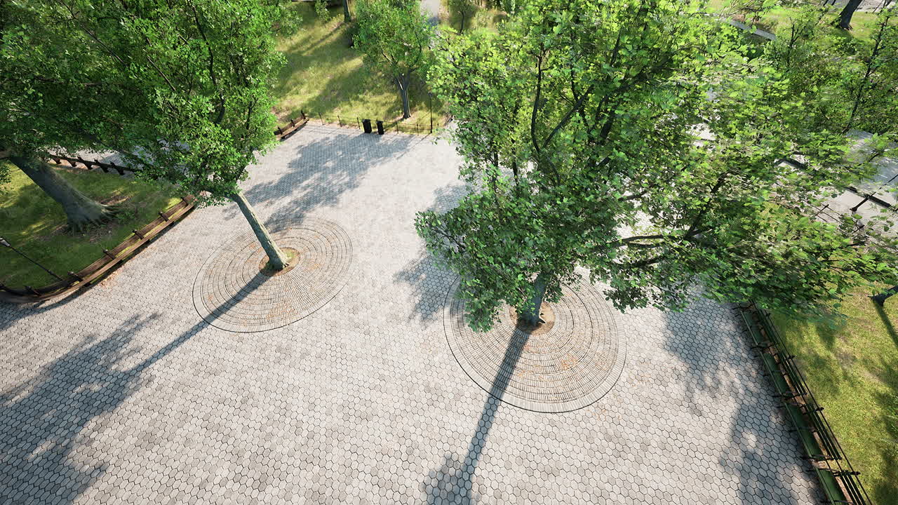 Aerial view of beautiful park