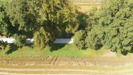 Schöne-Aussicht-Von-Der-Kutsche-Auf-Die-Landstraße-Mit-Bäumen-Und-Landschaft