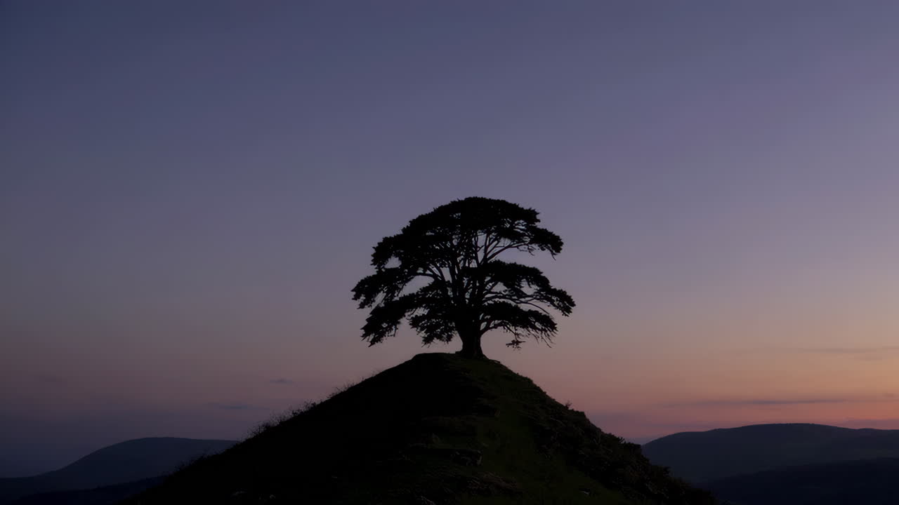 Solitary Tree on Hill at Sunset
