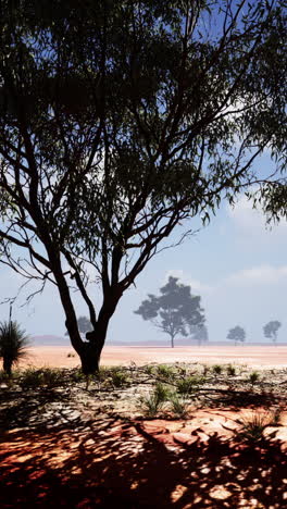 australian outback landscape