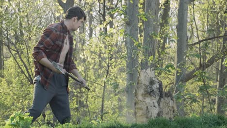 young caucasian lumberjack swinging at a tree with his axe