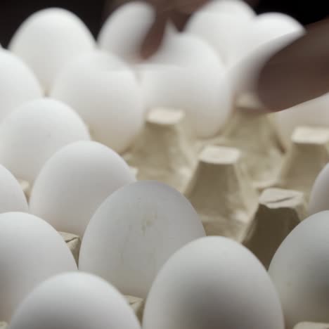 hand takes white chicken egg. white chicken eggs in a carton.
