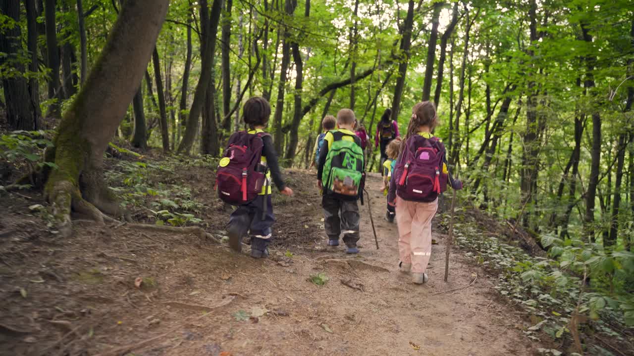siguiendo a un grupo de niños caminando en el bosque niños pequeños van de excursión. campamento de verano jardín de infantes salvaje viaje en las montañas de madera