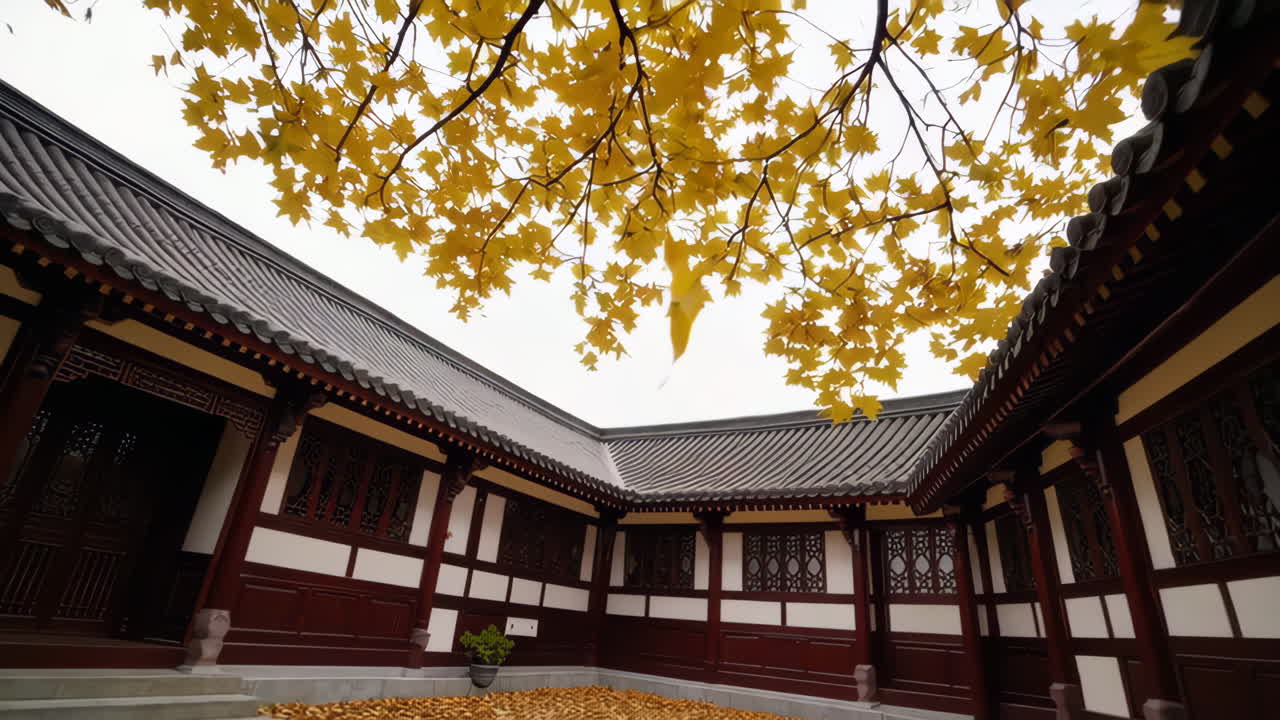 Autumn Leaves in a Chinese Courtyard